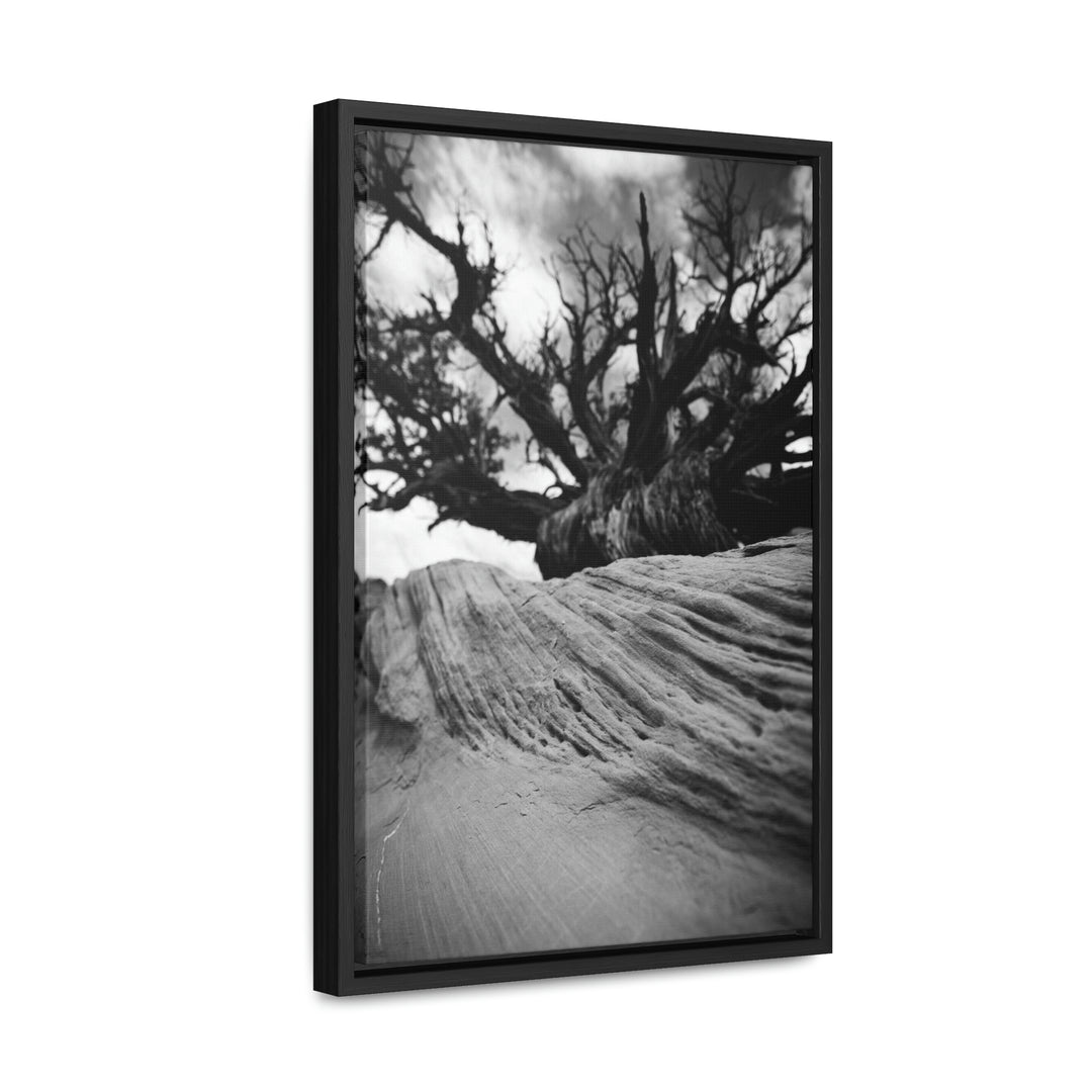 Desert Reach in Black and White - Canvas with Frame