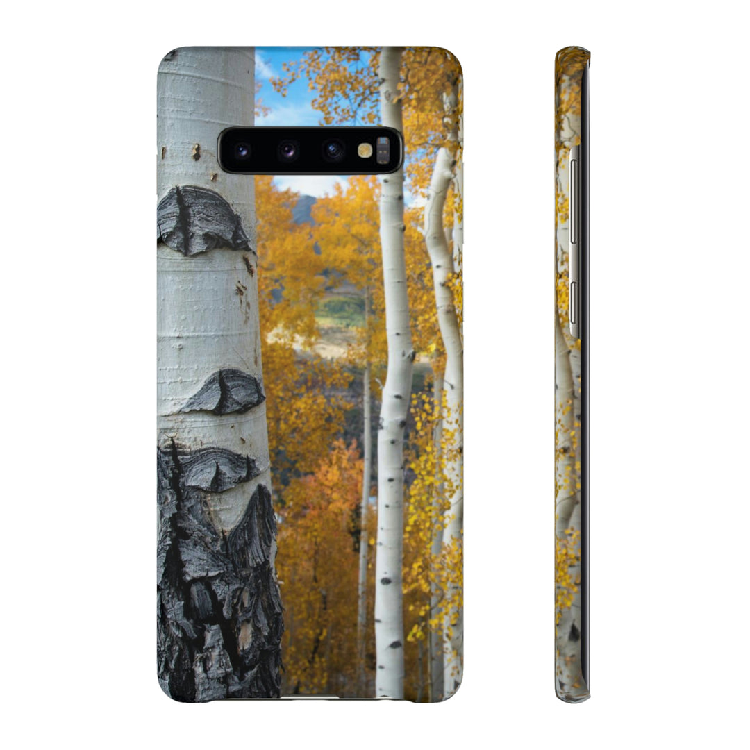 Aspens Changing - Phone Case