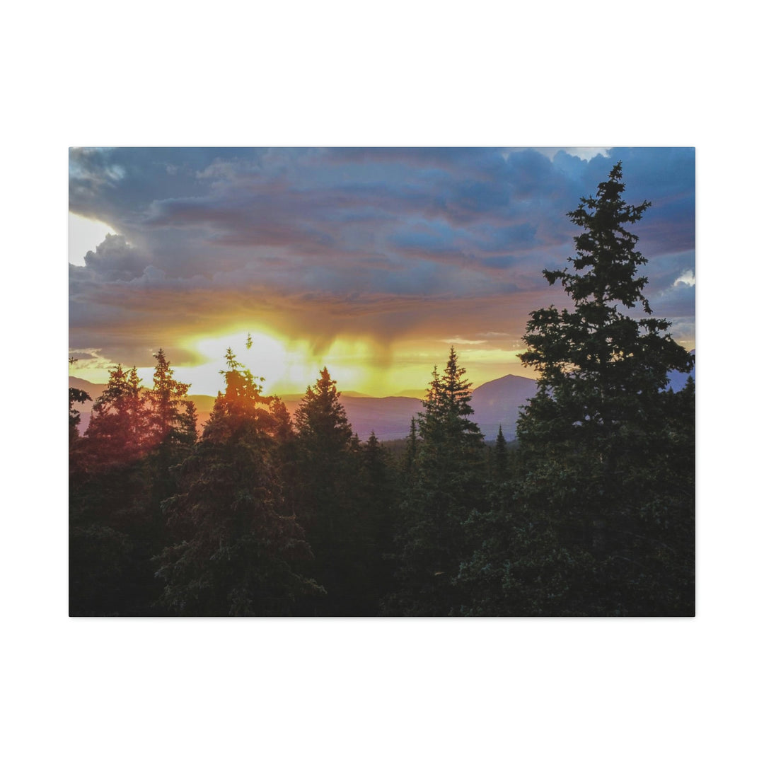 Rainy Sunset Through the Trees - Canvas