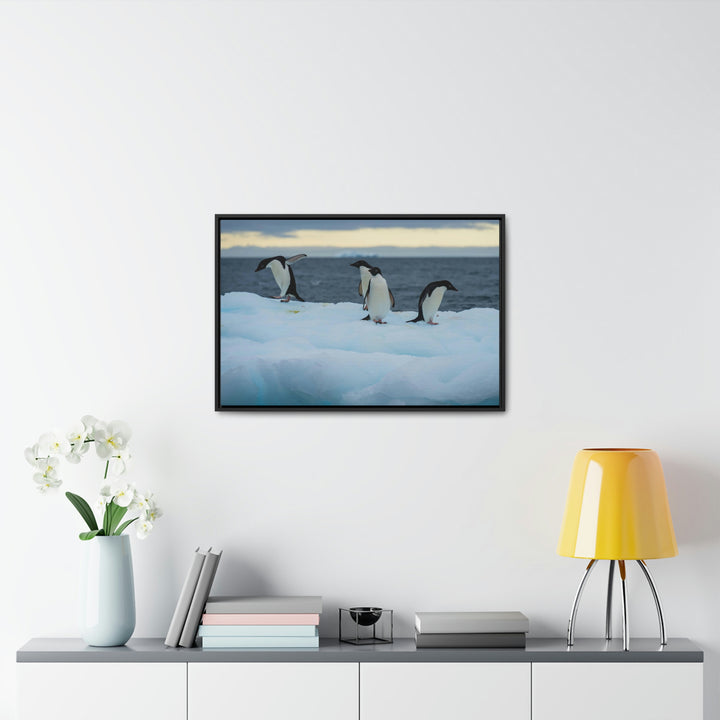 Penguin Dance - Canvas with Frame