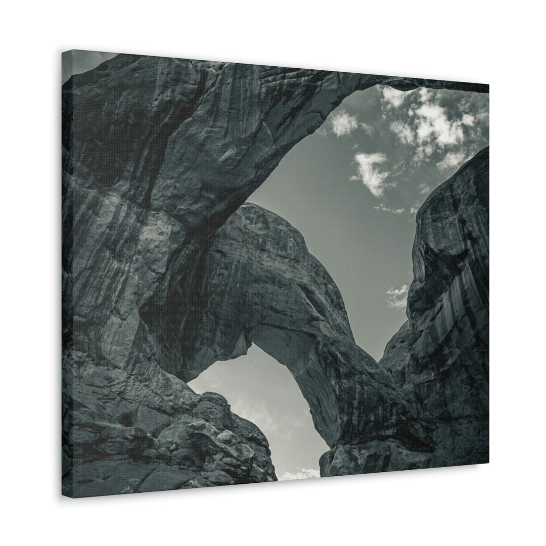 Natural Frames Part 4 in Black and White - Canvas