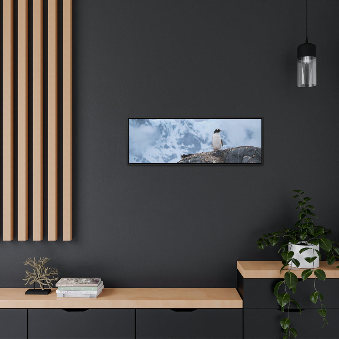 Poised Penguin - Canvas with Frame