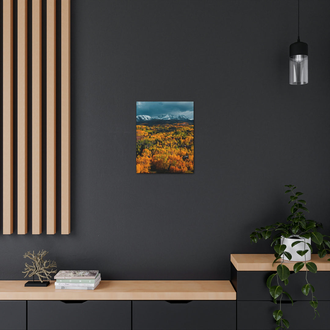 Golds of Autumn - Canvas