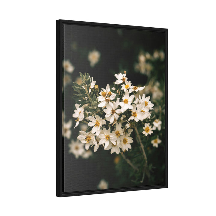 A Touch of White - Canvas with Frame