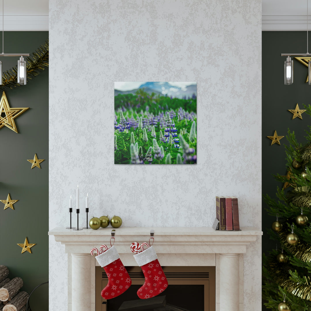 Glowing Lupin with Mountains - Canvas