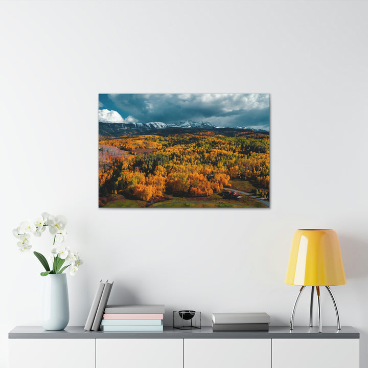 Golds of Autumn - Canvas