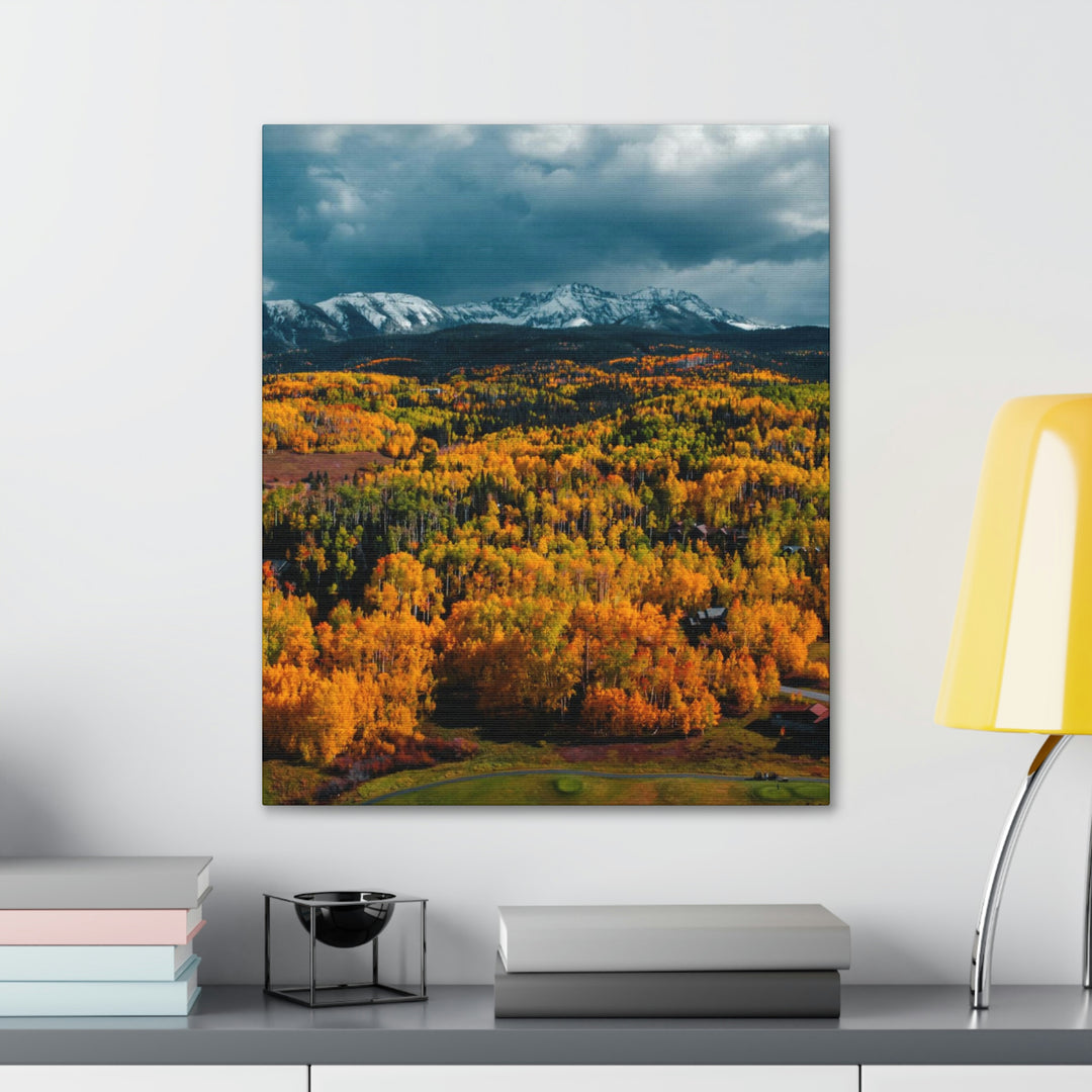 Golds of Autumn - Canvas