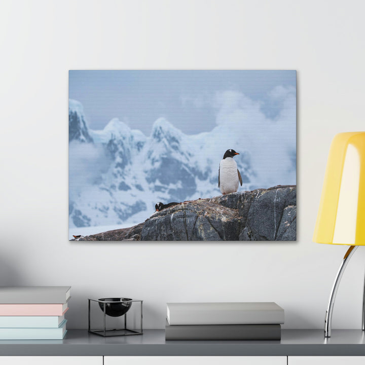 Poised Penguin - Canvas