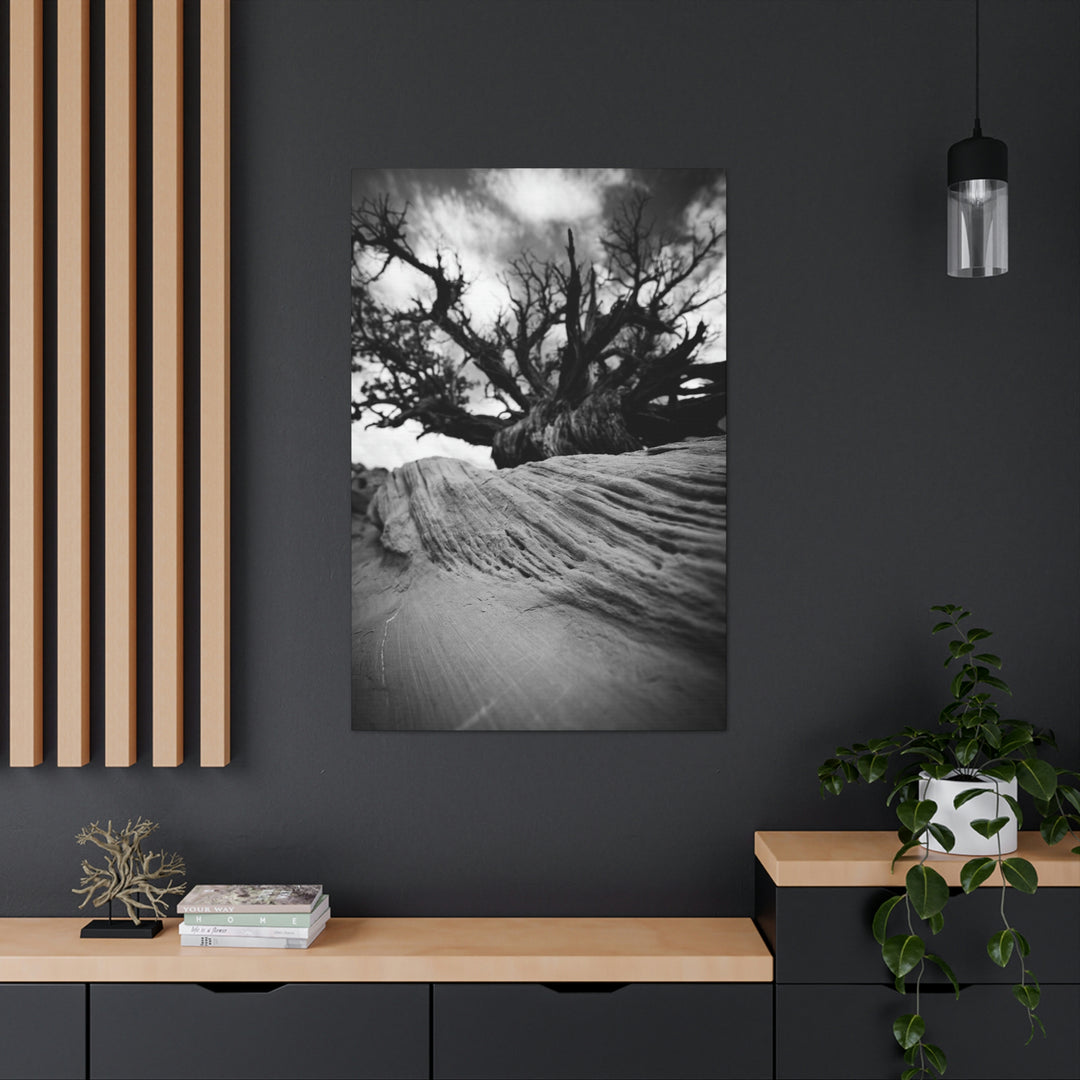 Desert Reach in Black and White - Canvas