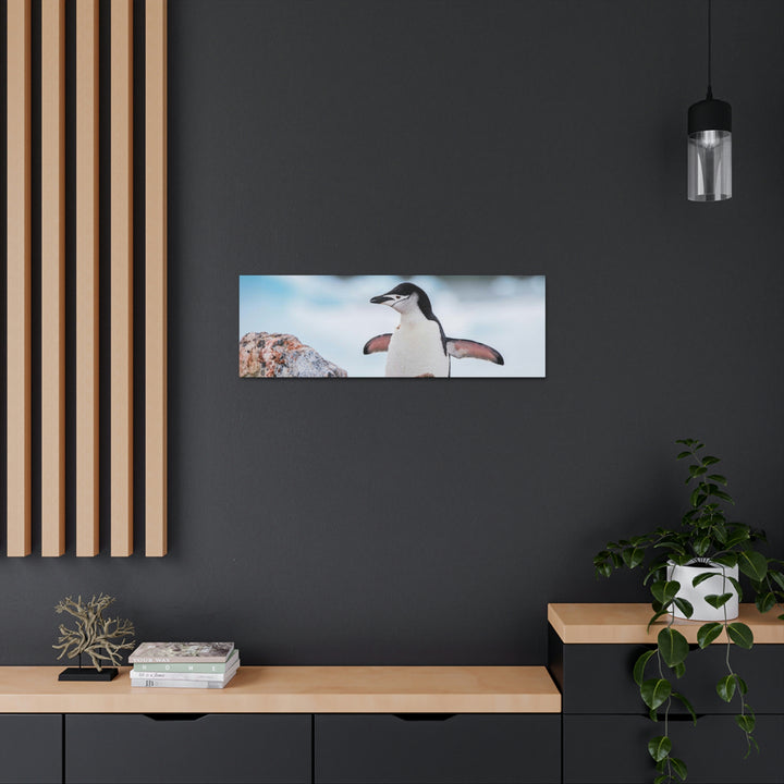 Stretched Penguin - Canvas