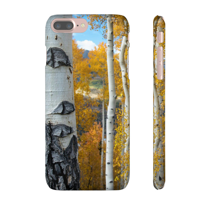 Aspens Changing - Phone Case