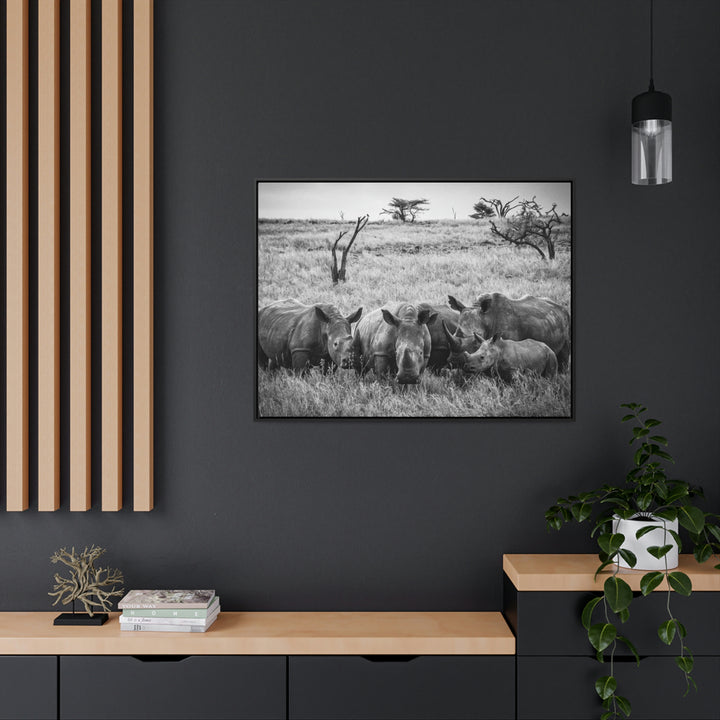 Rhino Family in Black and White - Canvas with Frame