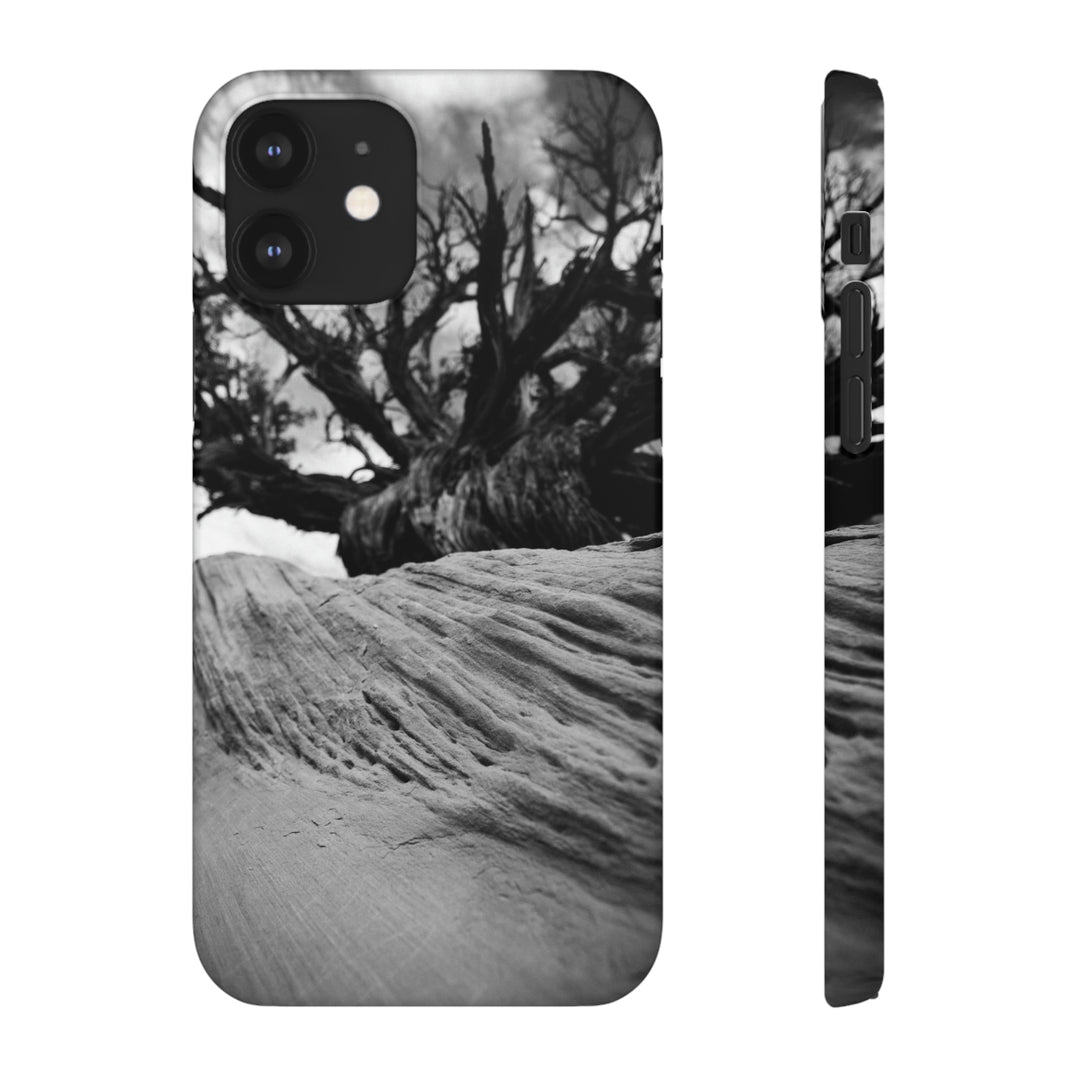 Desert Reach in Black and White - Phone Case