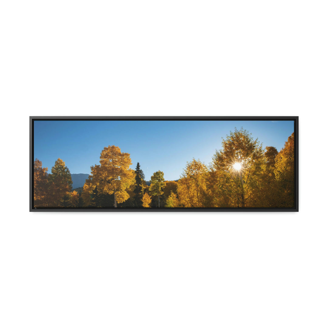 Sun Through the Aspens - Canvas with Frame