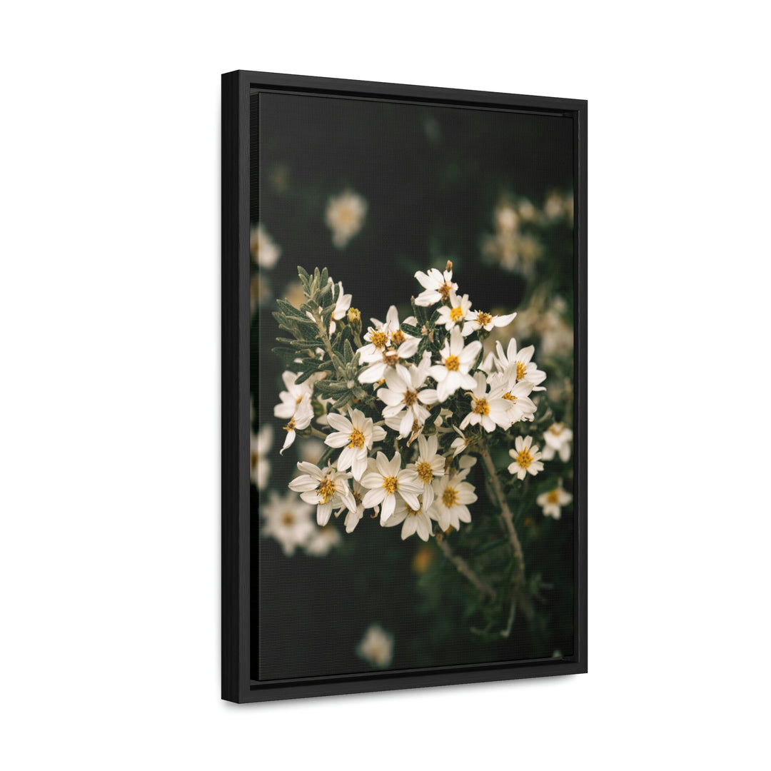 A Touch of White - Canvas with Frame