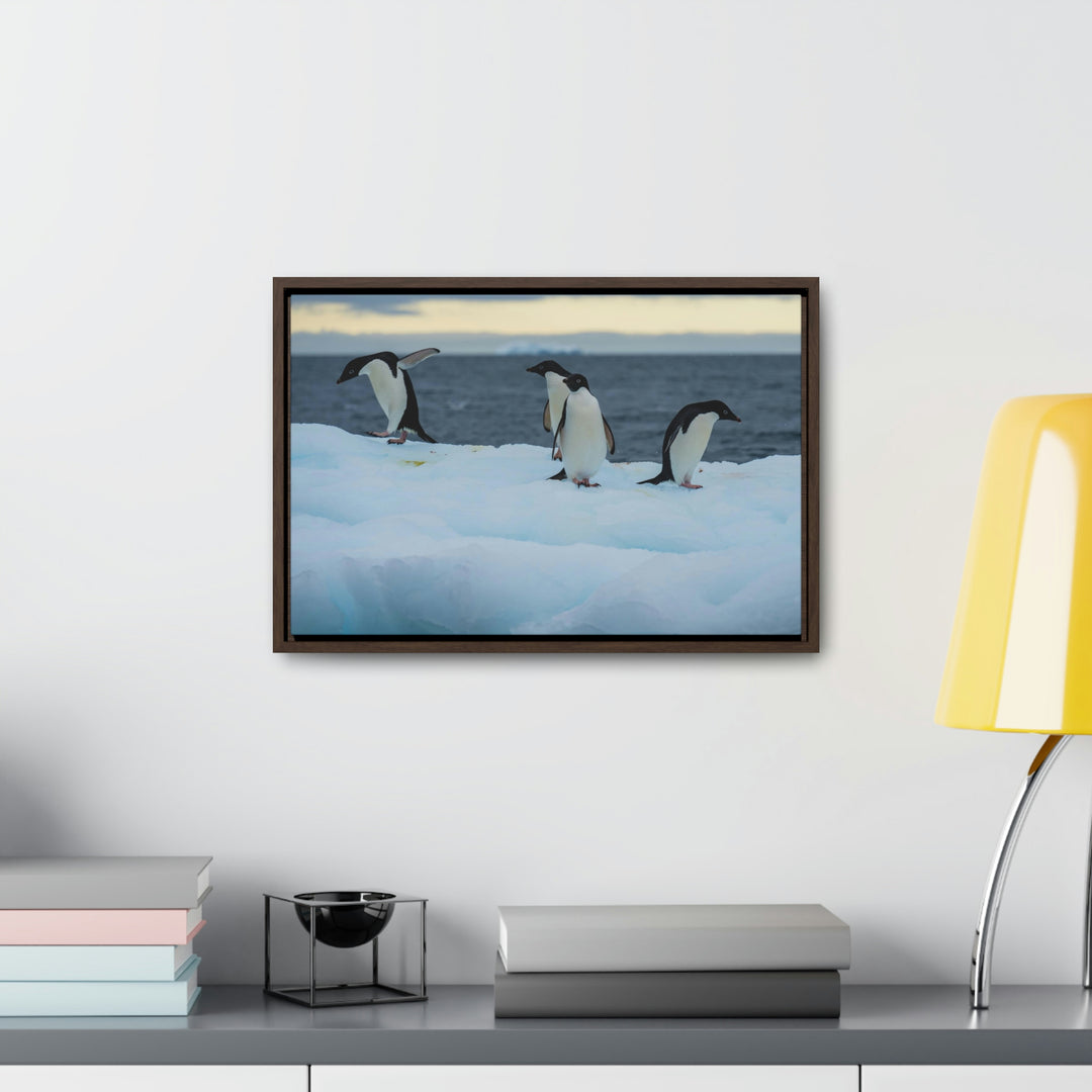 Penguin Dance - Canvas with Frame