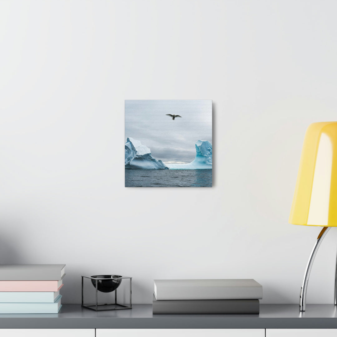 Antarctic Flight - Canvas