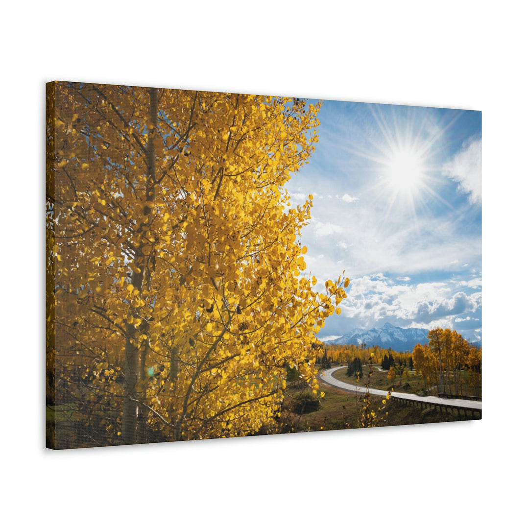 Golden Sunshine - Canvas