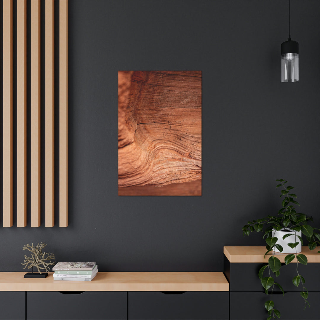 Sedimentary Rock Curves - Canvas