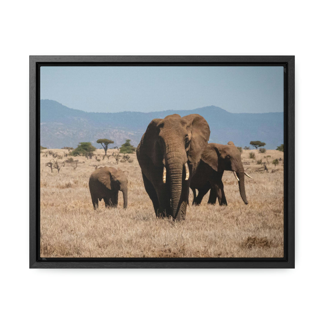 Family March - Canvas With Frame