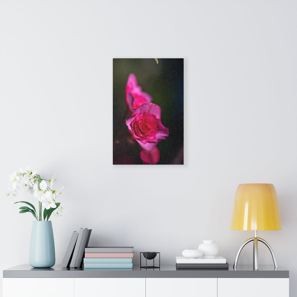 Hybrid Tea Lily - Canvas