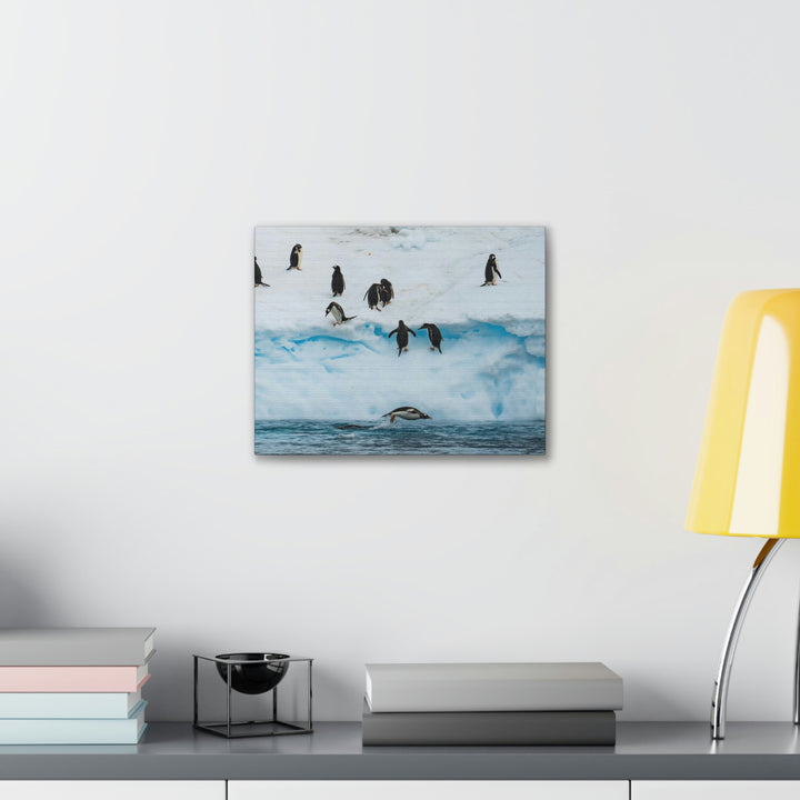 Porpoising Penguin - Canvas