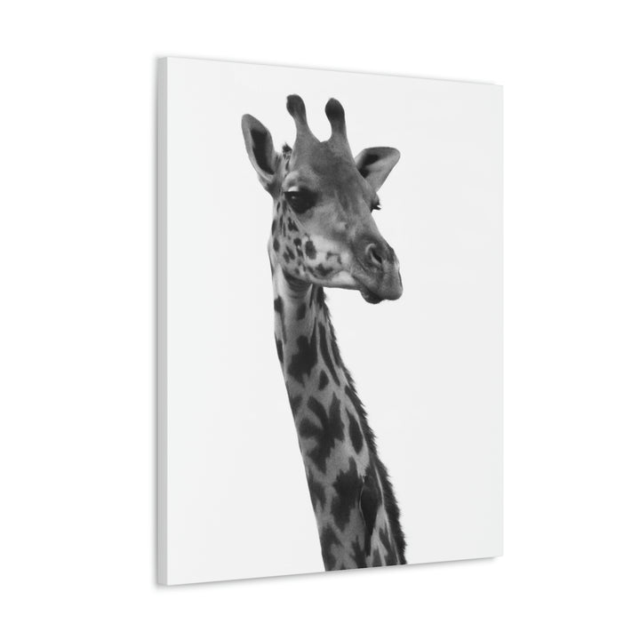 Giraffe Portrait in Black and White  - Canvas