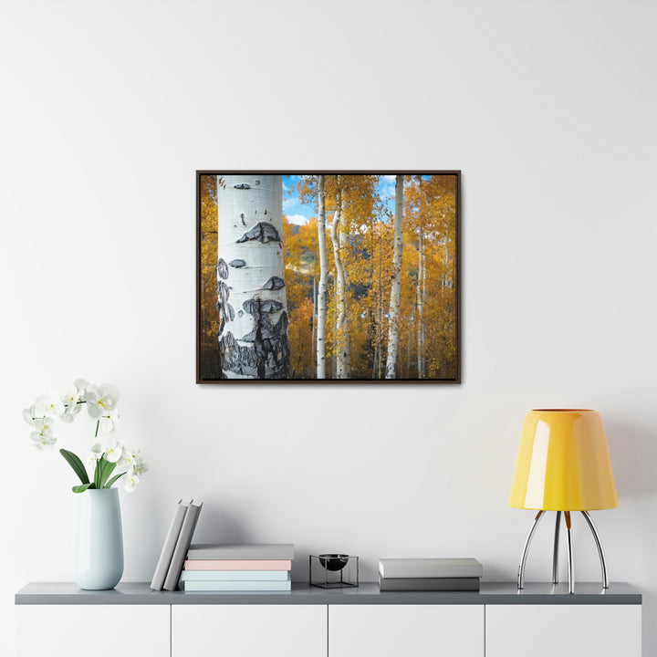 Aspens Changing - Canvas with Frame