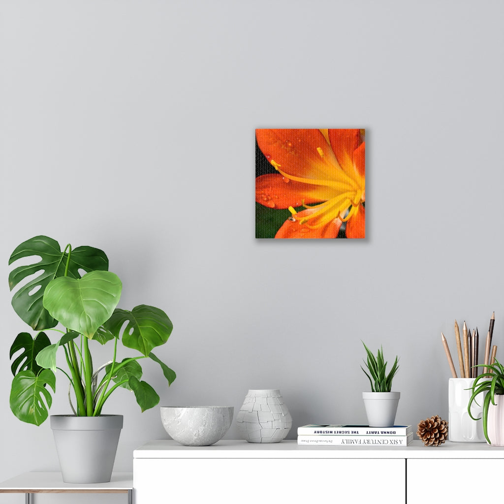 Bright Bush Lily - Canvas