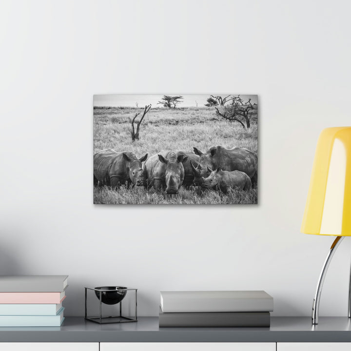 Rhino Family in Black and White - Canvas