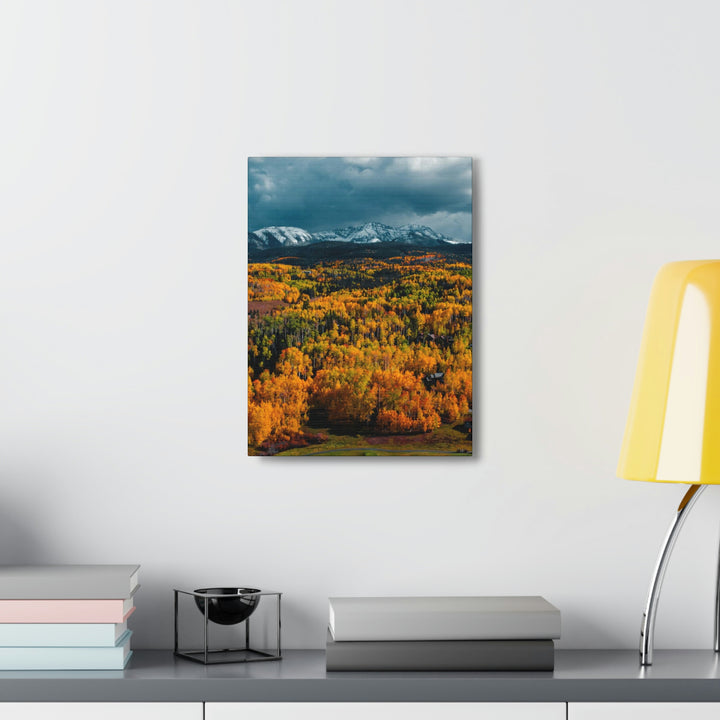 Golds of Autumn - Canvas