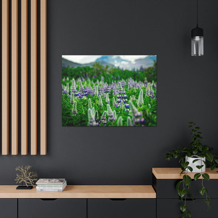 Glowing Lupin with Mountains - Canvas