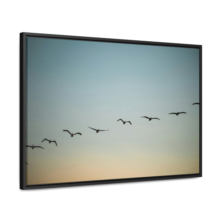 Brown Pelicans in Flight - Canvas with Frame