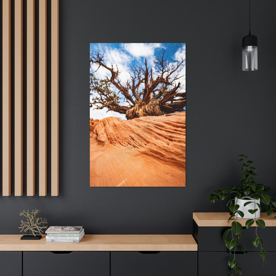 Desert Reach - Canvas