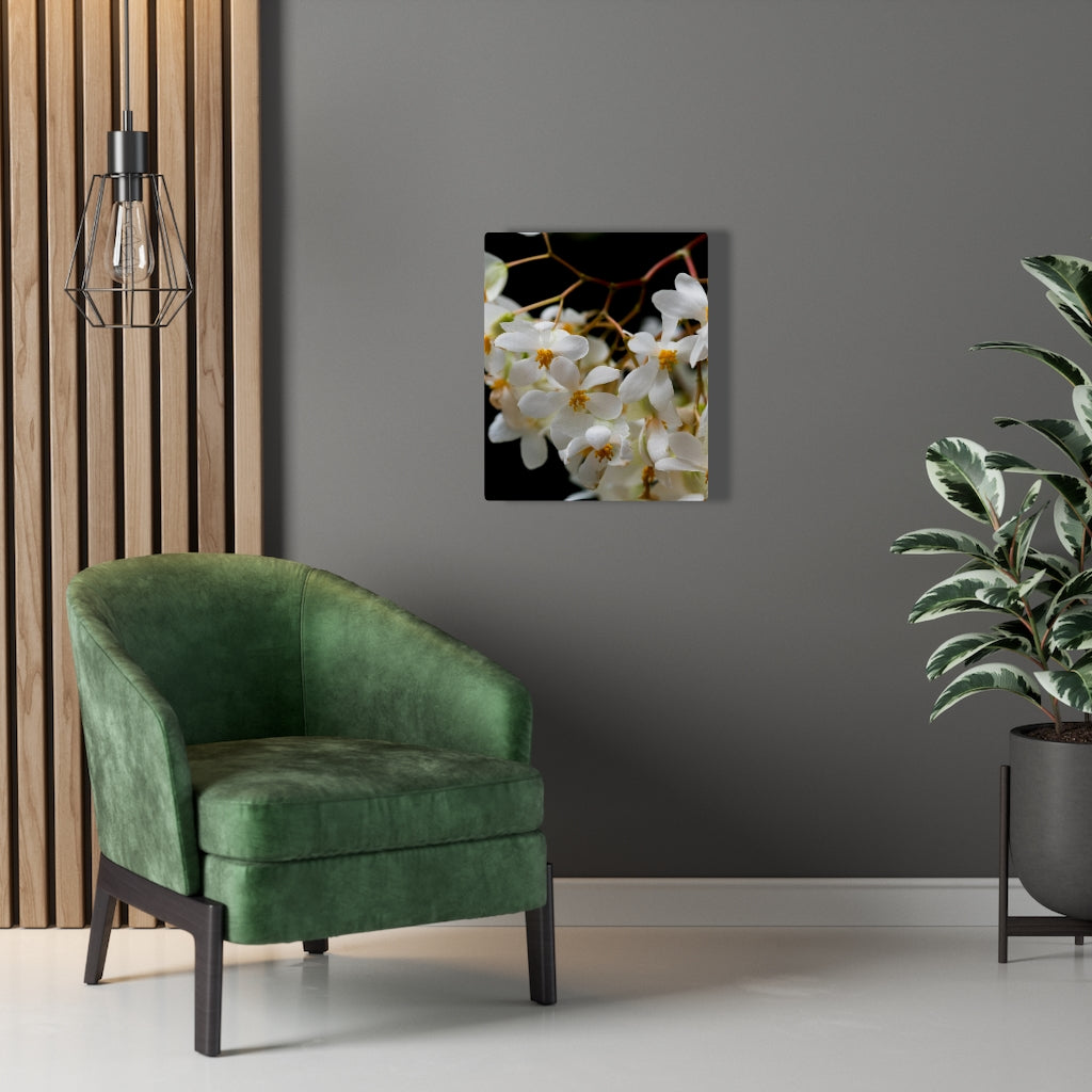 Floral Network - Canvas