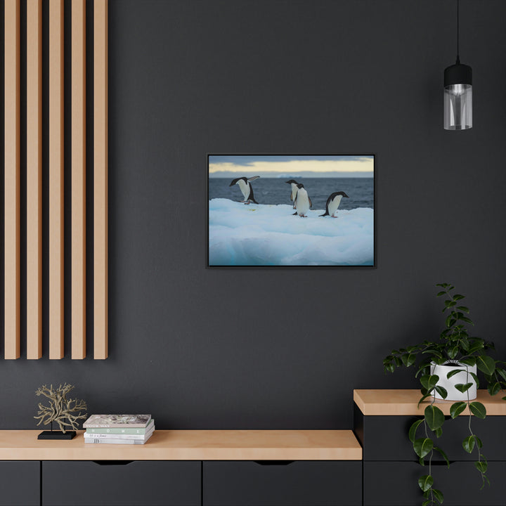 Penguin Dance - Canvas with Frame