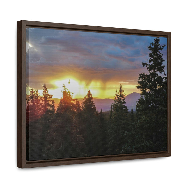 Rainy Sunset Through the Trees - Canvas with Frame