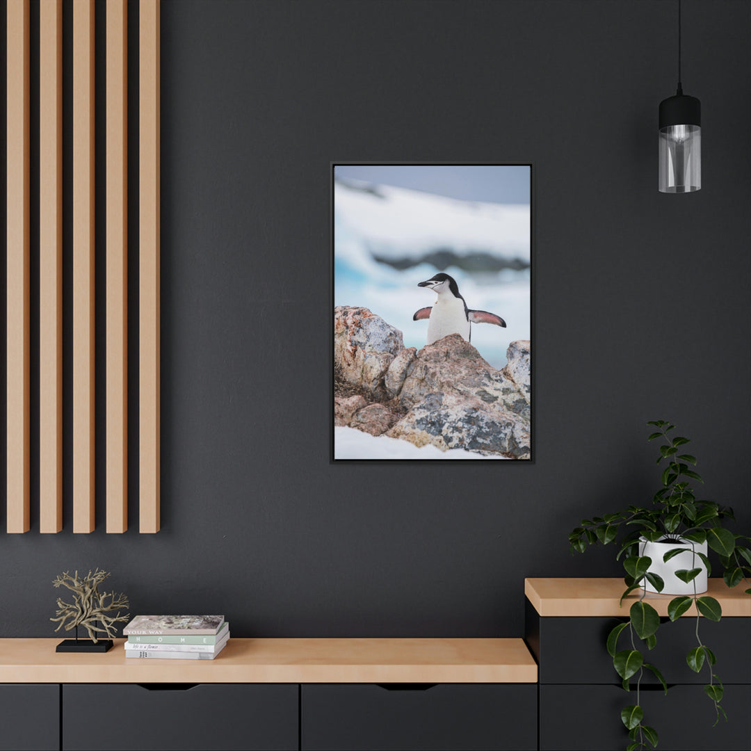 Stretched Penguin - Canvas with Frame