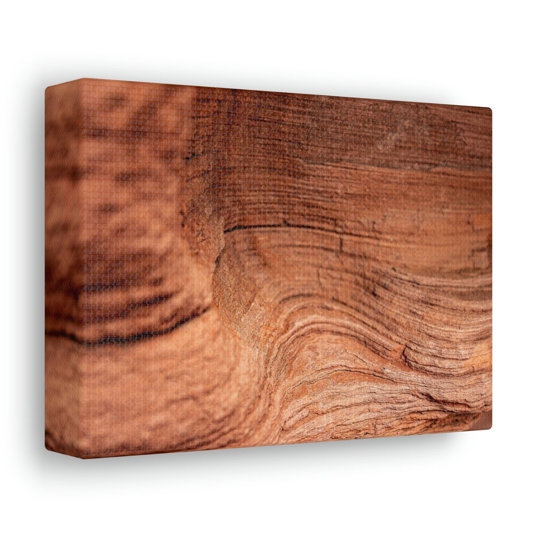 Sedimentary Rock Curves - Canvas