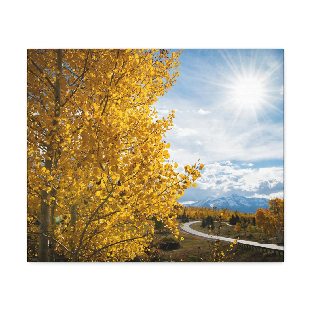 Golden Sunshine - Canvas