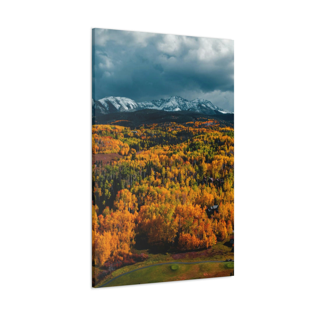 Golds of Autumn - Canvas