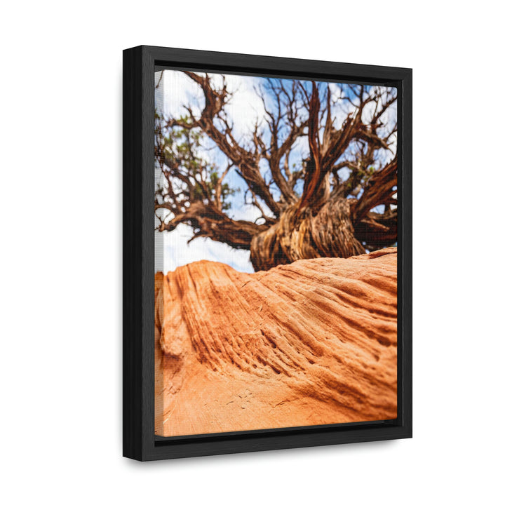 Desert Reach - Canvas with Frame