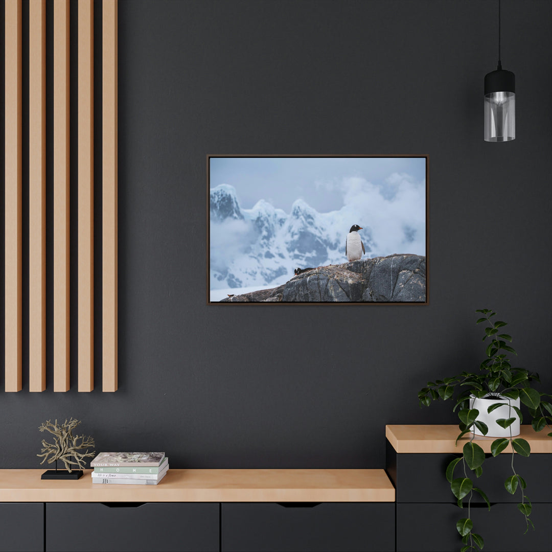 Poised Penguin - Canvas with Frame