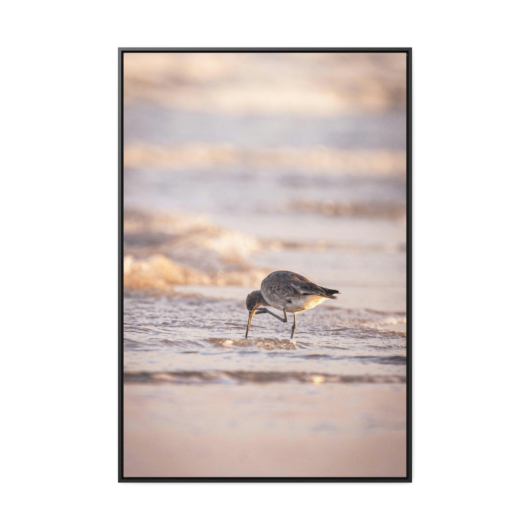 Willet Itch - Canvas with Frame