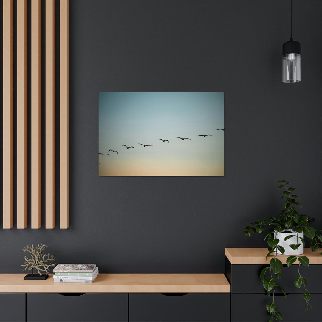 Brown Pelicans in Flight - Canvas