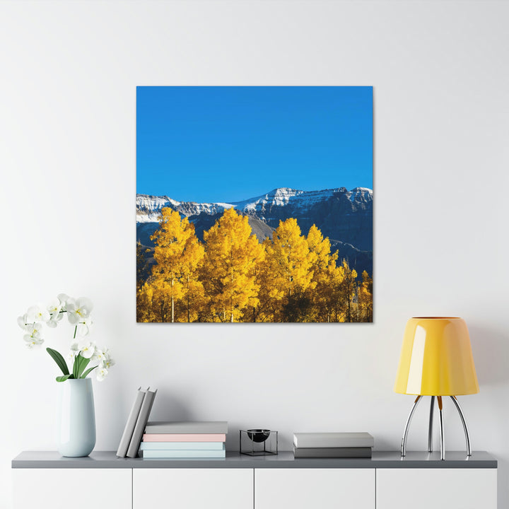 Golden Glow - Canvas