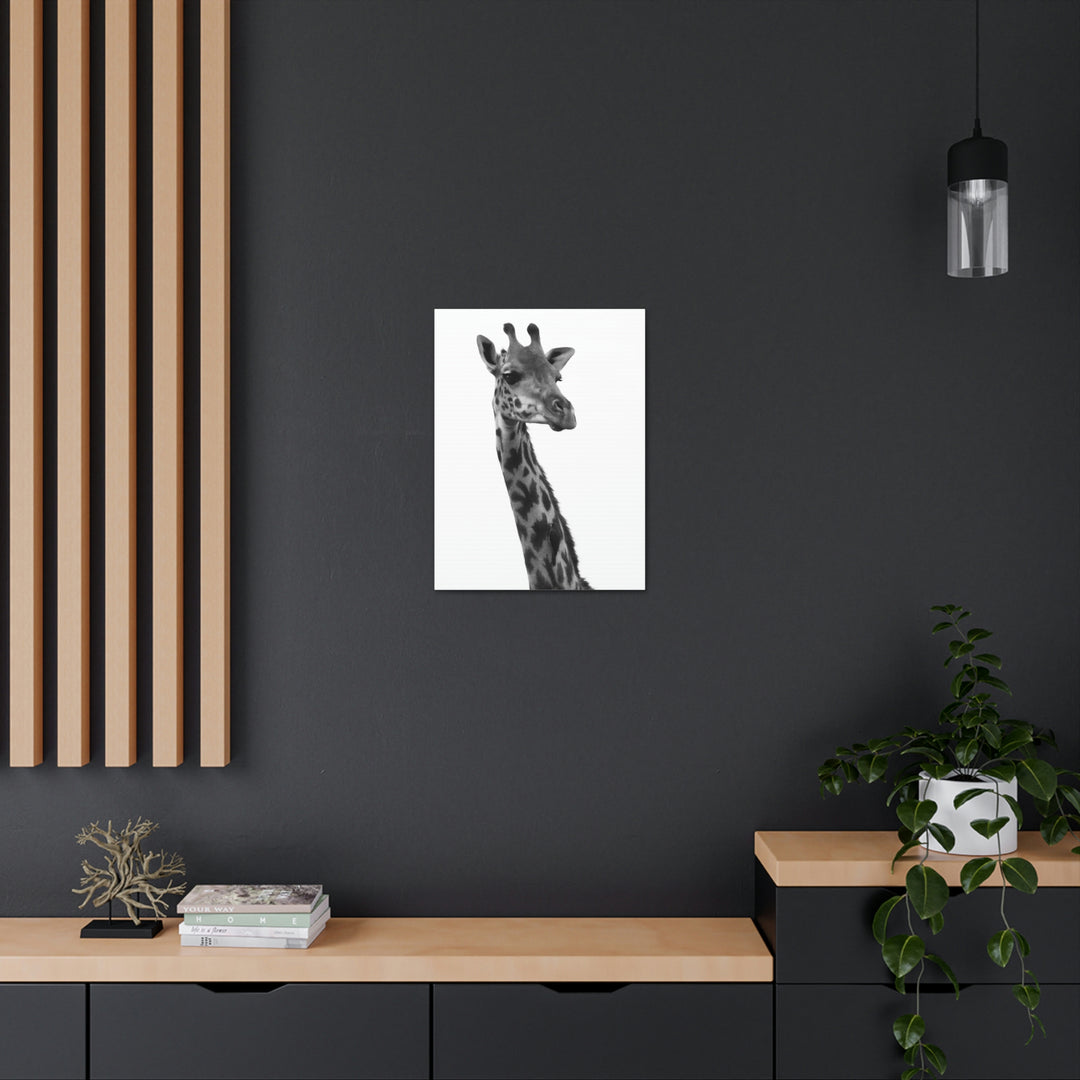 Giraffe Portrait in Black and White  - Canvas