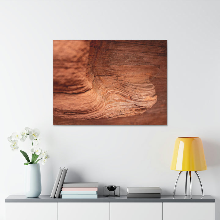 Sedimentary Rock Curves - Canvas