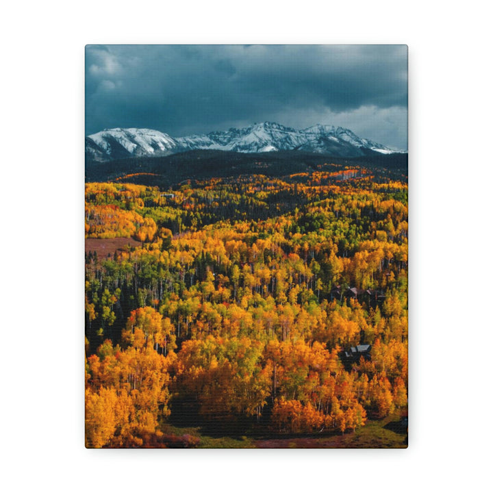 Golds of Autumn - Canvas