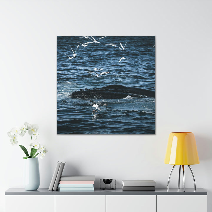 Humpback Hello - Canvas